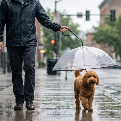 Rainy Necessary Dog Umbrella Leash – Keep Your Dog Dry & Safe in the Rain