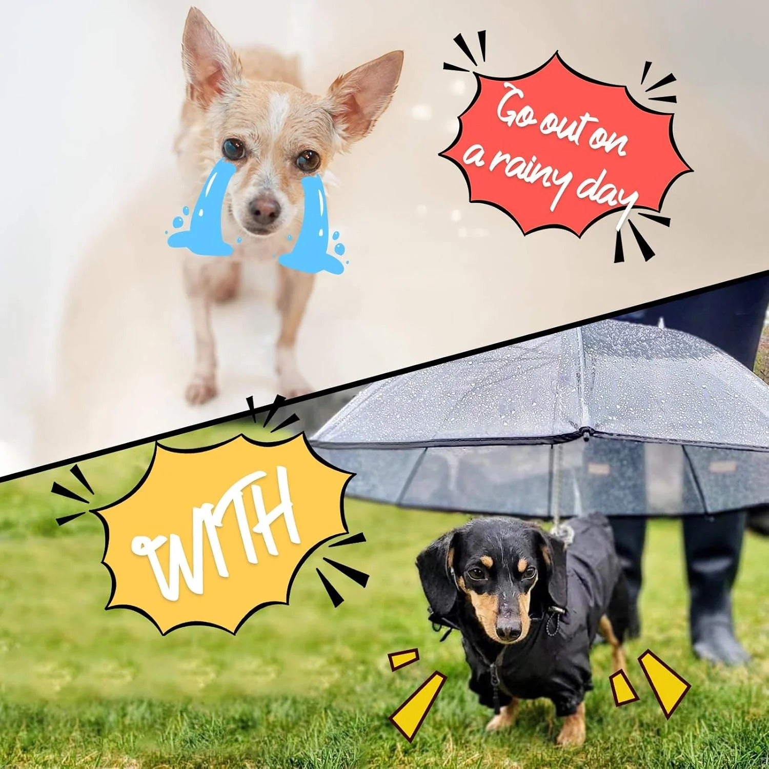 Rainy Necessary Dog Umbrella Leash – Keep Your Dog Dry & Safe in the Rain